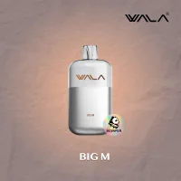 BIG M(Big Milk) WALA POP 10000