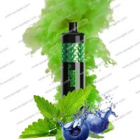 Berry Mint Yooz Shisha