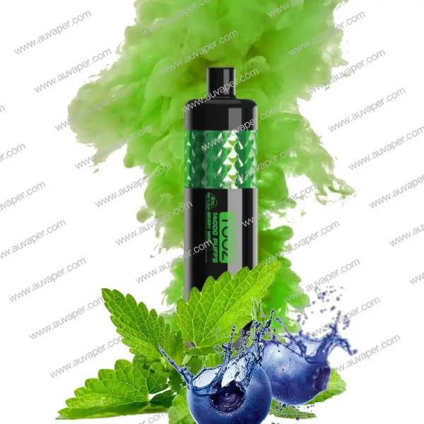 Berry Mint Yooz Shisha