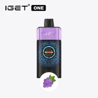 Grape Ice IGET ONE