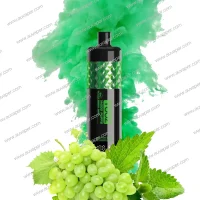 Grape Mint Yooz Shisha
