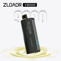 Kiwi Pineapple Ice ZLOADR V9000